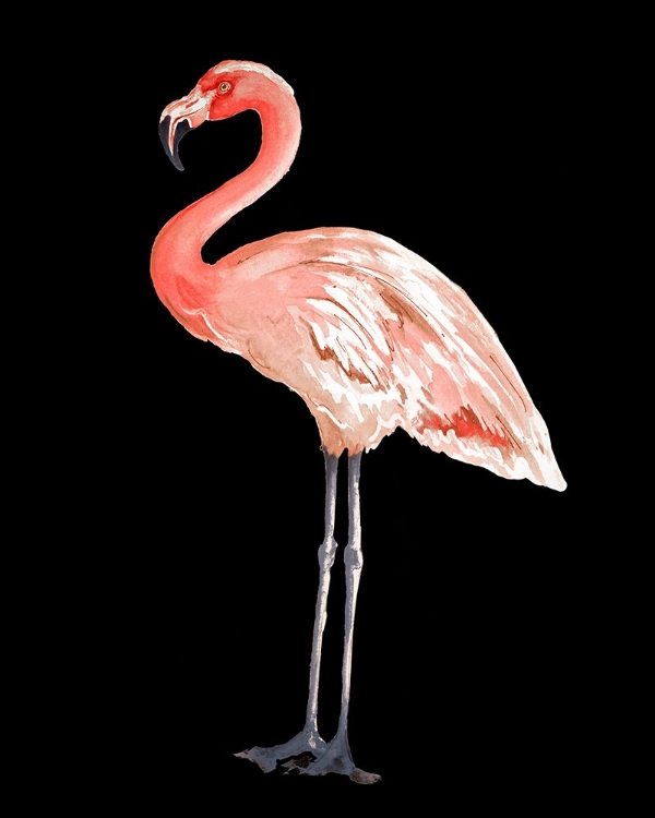 Picture of FLAMINGO ON BLACK I