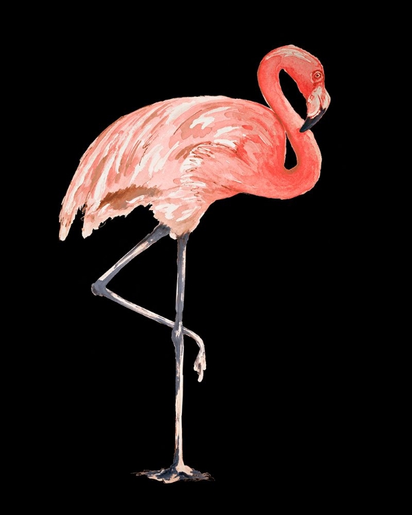 Picture of FLAMINGO ON BLACK II