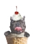 Picture of ICE CREAM DOG