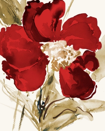 Picture of BRIGHT RED BLOOM II