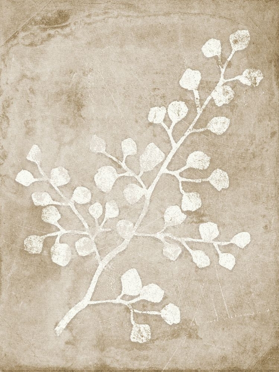 Picture of RUSTIC FLORAL II