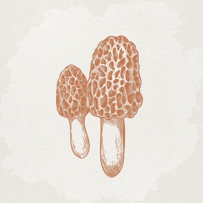 Picture of MUSHROOM LOVE 3