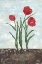 Picture of RED TULIPS