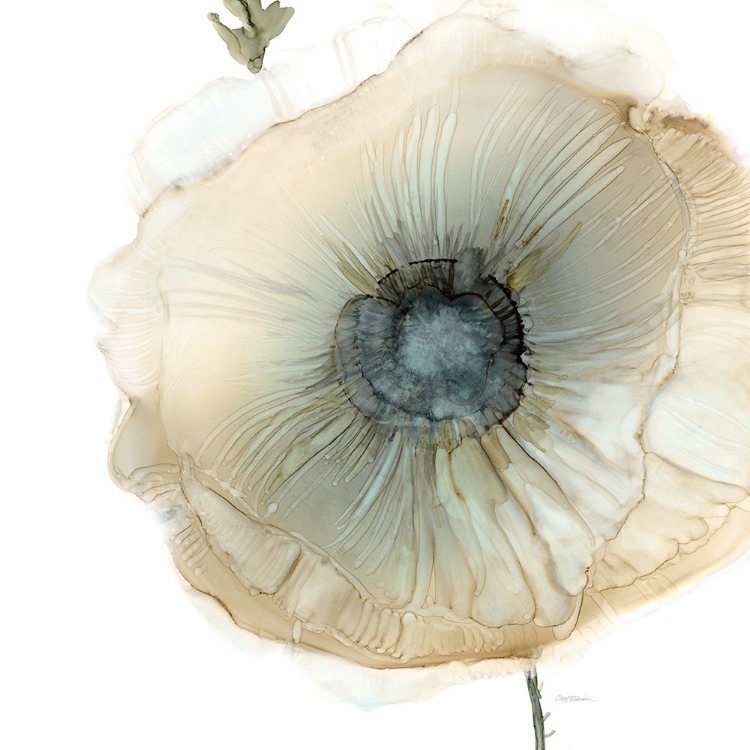 Picture of IRIDESCENT POPPY II