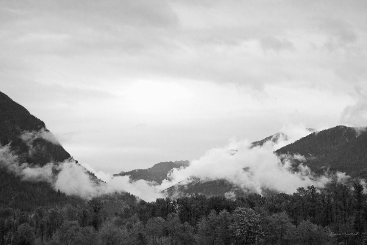 Picture of NORTH CASCADES II