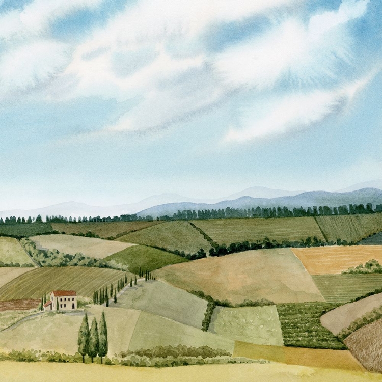 Picture of TUSCAN FARMLAND I