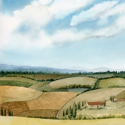 Picture of TUSCAN FARMLAND II