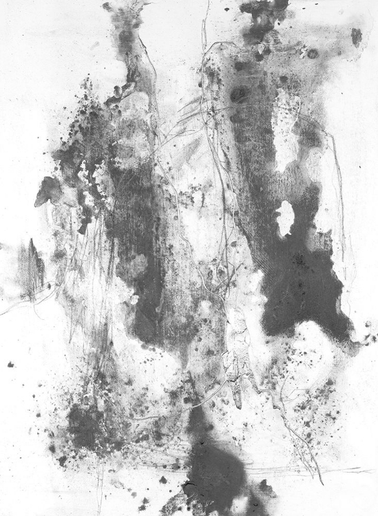 Picture of GRAPHITE ABSTRACT III