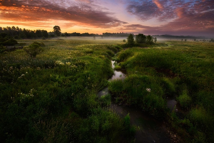 Picture of MORNING ON KESMA RIVER