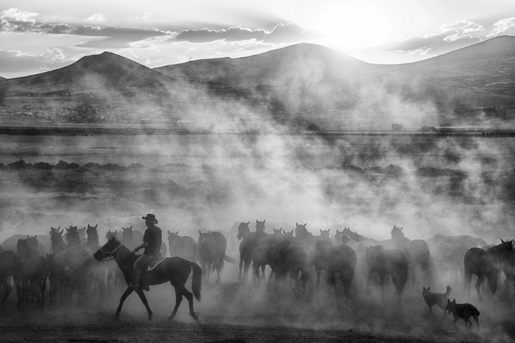 Picture of RIDER ON THE ROLL