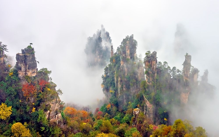 Picture of ZHANG JIA JIE FALL COLOR