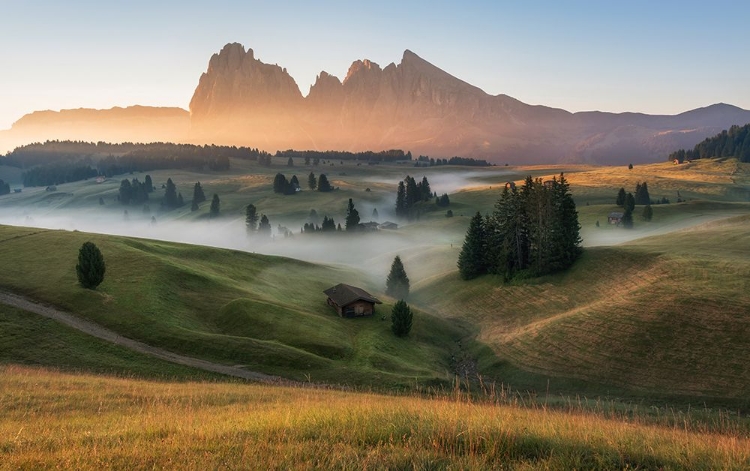 Picture of ALPE DI SIUSI