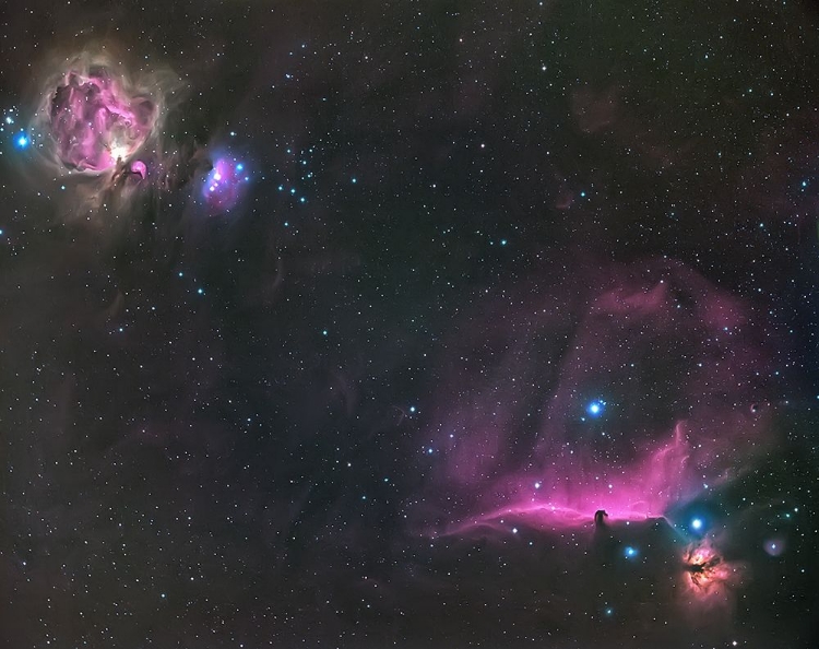 Picture of ORION NEBULA AND THE HORSEHEAD