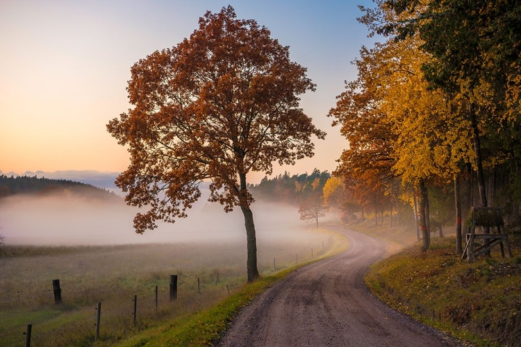 Picture of COUNTRYSIDE VIBES