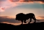 Picture of SUNSET IN THE SERENGETI