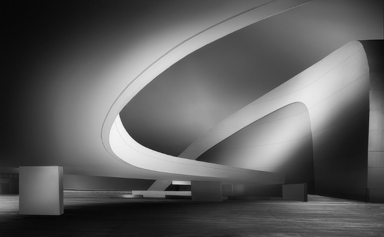 Picture of NIEMEYER ART