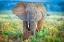 Picture of PASTEL ELEPHANT