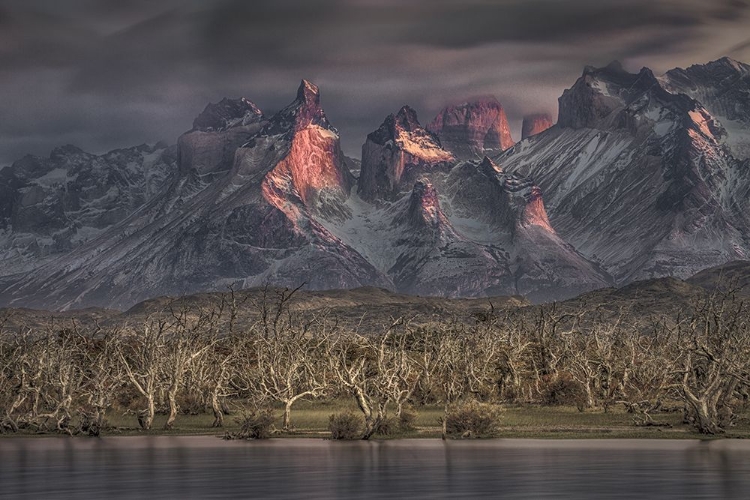 Picture of BELOW THE PEAKS OF PATAGONIA