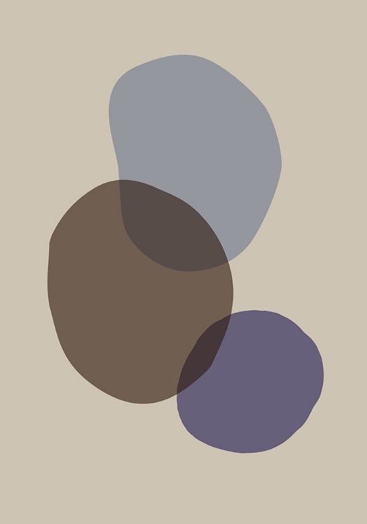 Picture of ORGANIC SHAPES 05