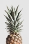 Picture of PINEAPPLE NATURAL