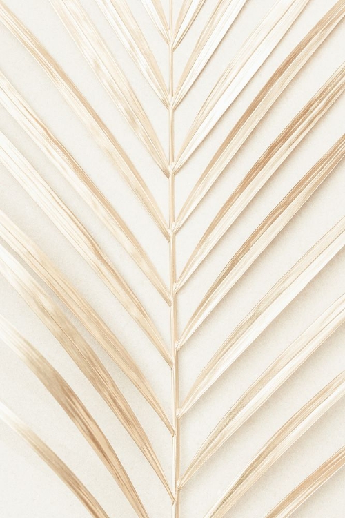 Picture of GOLDEN PALM LEAF