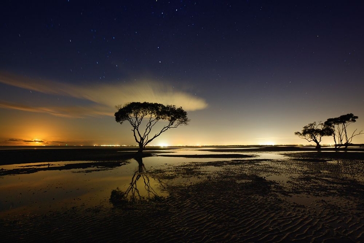 Picture of MOONRISE