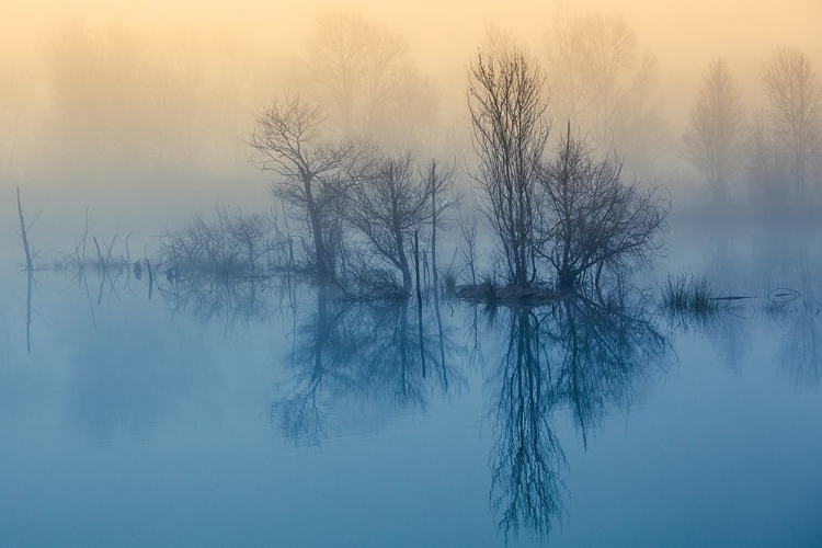 Picture of MORNING REFLECTION