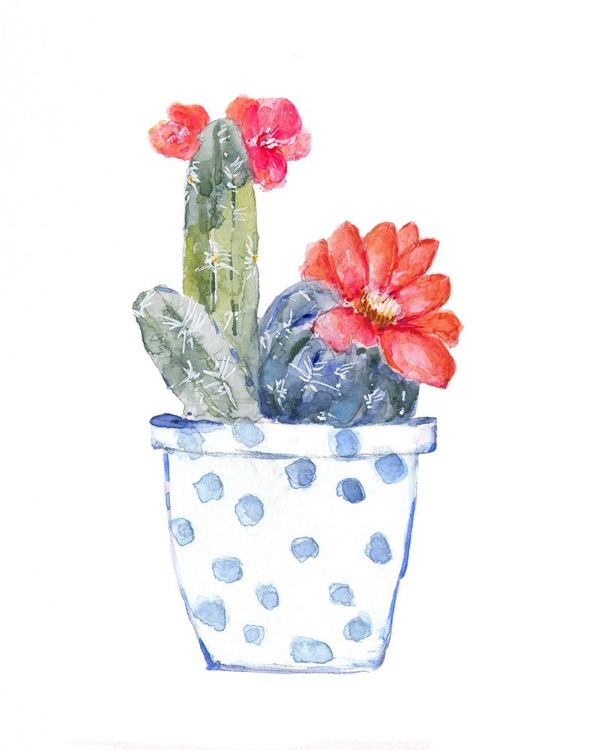 Picture of CACTUS AND SUCCULENT BLOOMS II