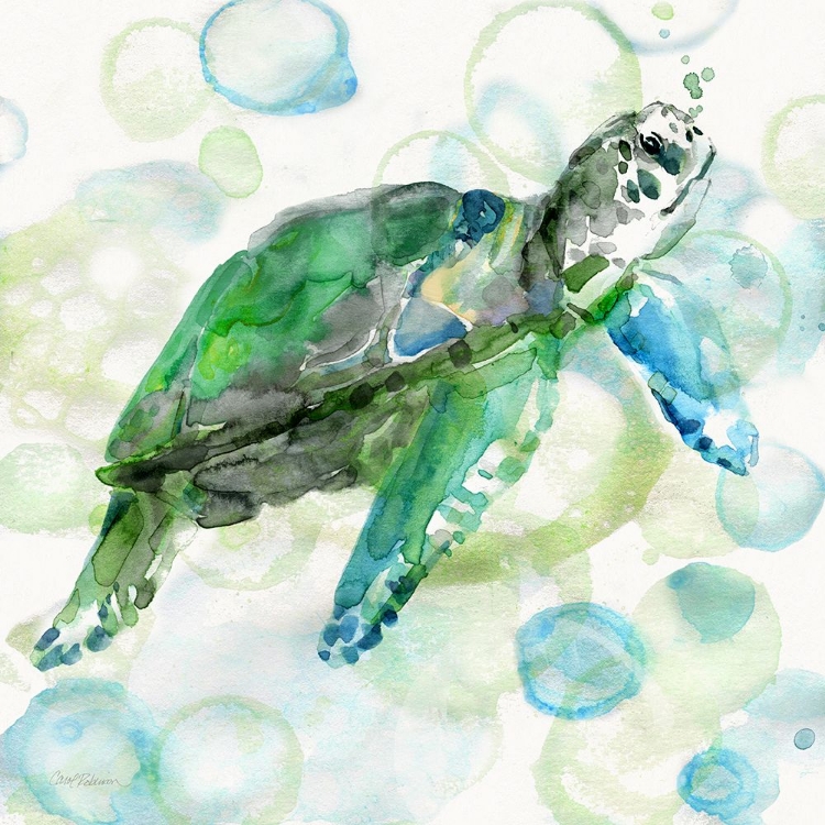 Picture of TURTLE BUBBLES I