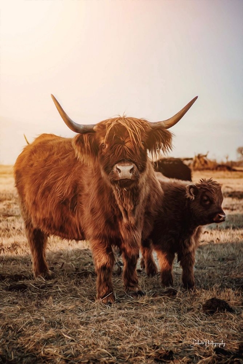 Picture of HIGHLAND MOM AND DAUGHTER I