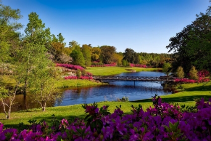 Picture of BELLINGRATH GARDENS ALABAMA I