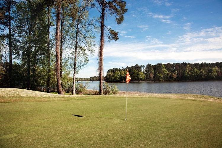 Picture of GRAND NATIONAL GOLF COURSE I