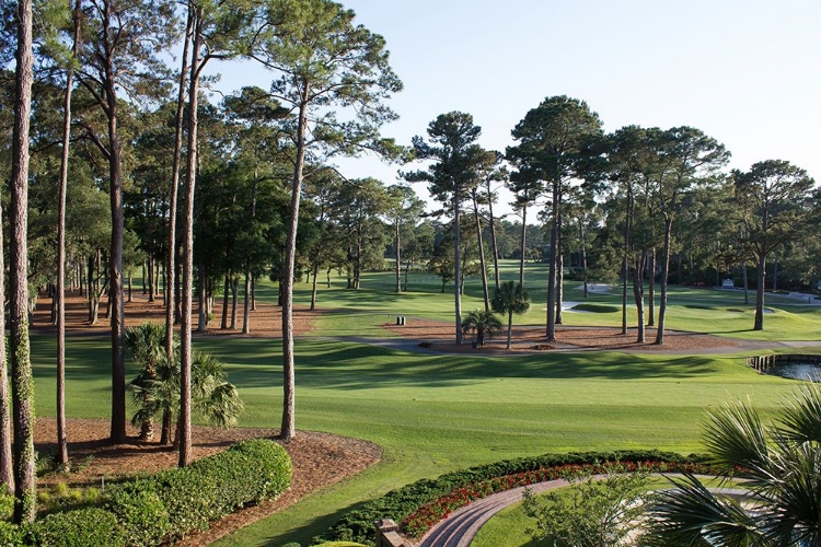 Picture of CHARLESTON NATIONAL GOLF CLUB-SOUTH CAROLINA