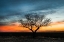 Picture of SUNSET SCENE IN RURAL TOM GREEN COUNTY-TEXAS