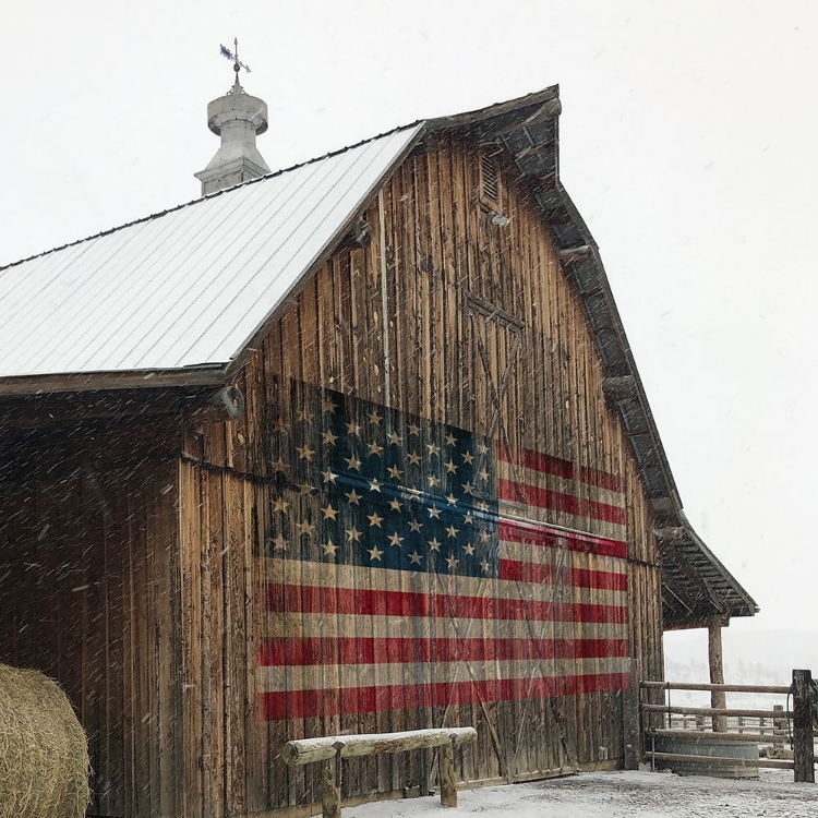 Picture of AMERICA PROUD