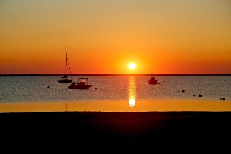 Picture of MAINE SUNSET