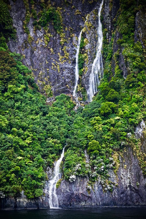 Picture of WATER THROUGH THE TREES