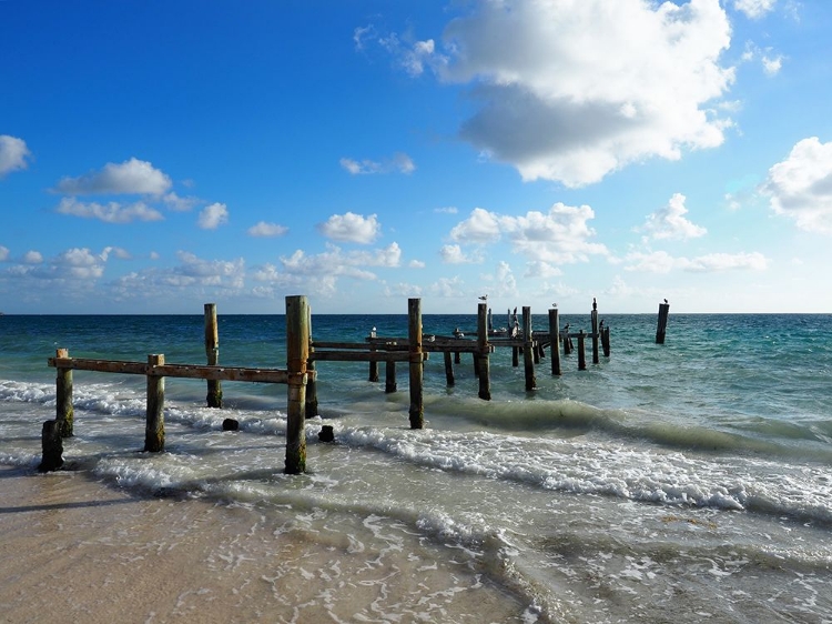 Picture of OLD DOCK