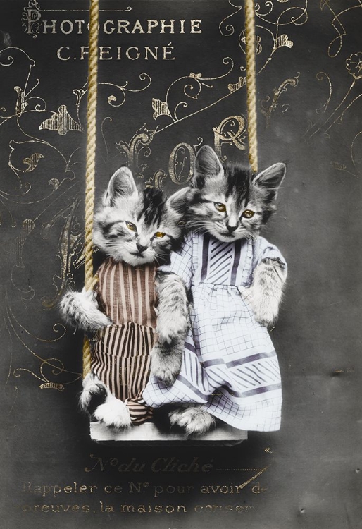 Picture of SWINGING KITTIES