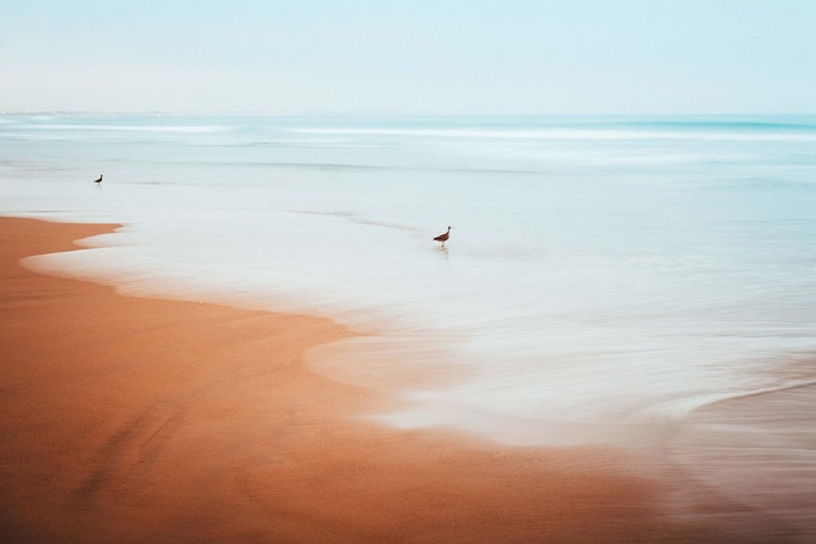 Picture of THE BEACH