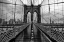 Picture of BROOKLYN BRIDGE