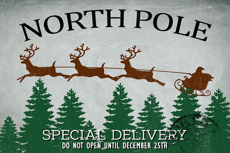 Picture of NORTH POLE DELIVERY