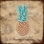 Picture of ANANAS COMOSUS