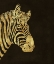 Picture of GOLDEN ZEBRA