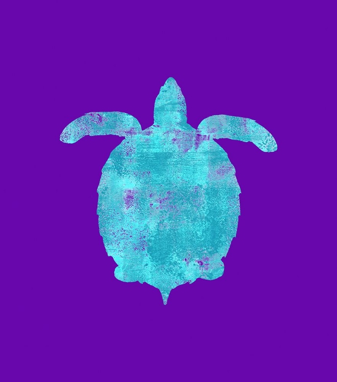 Picture of SPONGE TURTLE AQUA