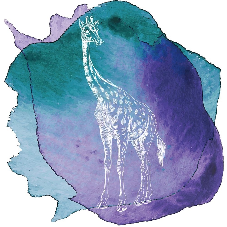 Picture of COLOR SPOT SAFARI ANIMALS GIRAFFE