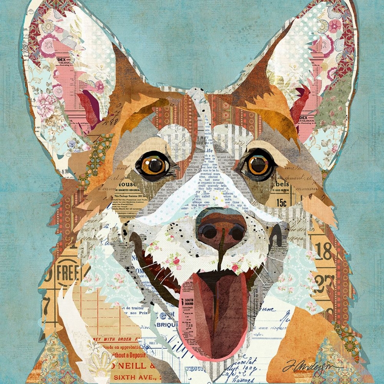 Picture of CORGI