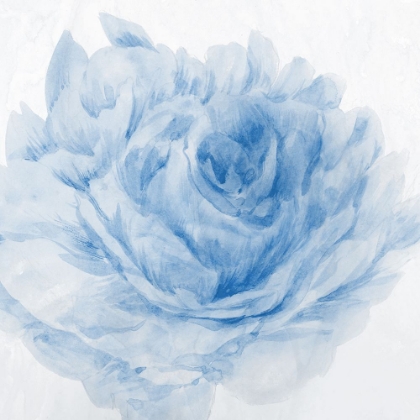 Picture of PEONY BLUE I 