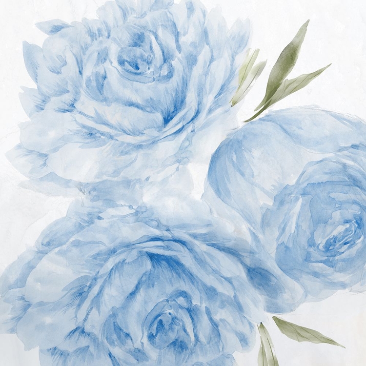 Picture of PEONY BLUE II