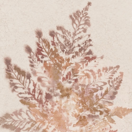 Picture of CORAL FERN II